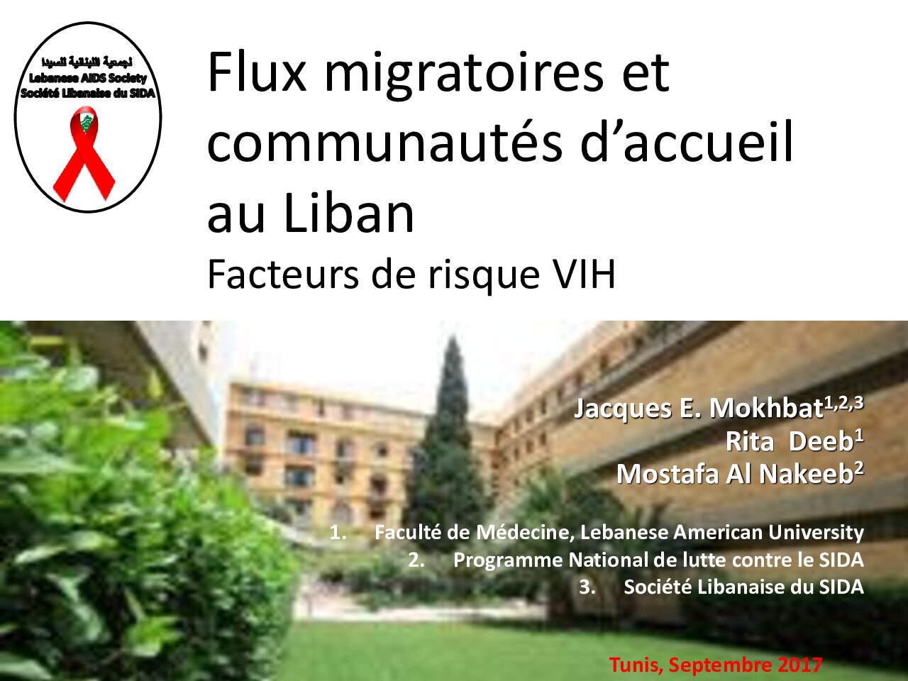 Flux migratoires et communautés d'accueil au Liban