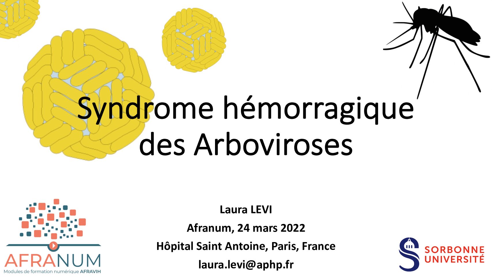 III. Syndrome hémorragique des arboviroses